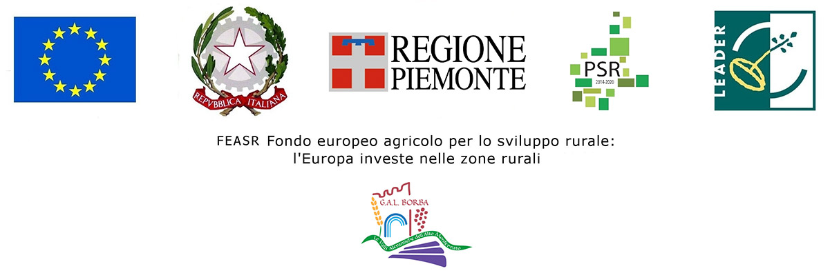 Banner Regione Piemonte